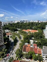 Cairnhill Crest (D9), Condominium #573511831